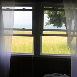 Bedroom Window View