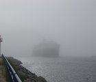 Out from the Fog