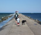 Dog Friendly
