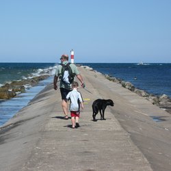 Dog Friendly
