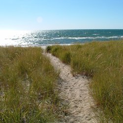 The Path