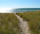 Path to the Beach