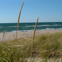 Shoreline