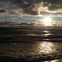 IMAG7387.jpg