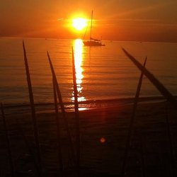 sunset3.jpg